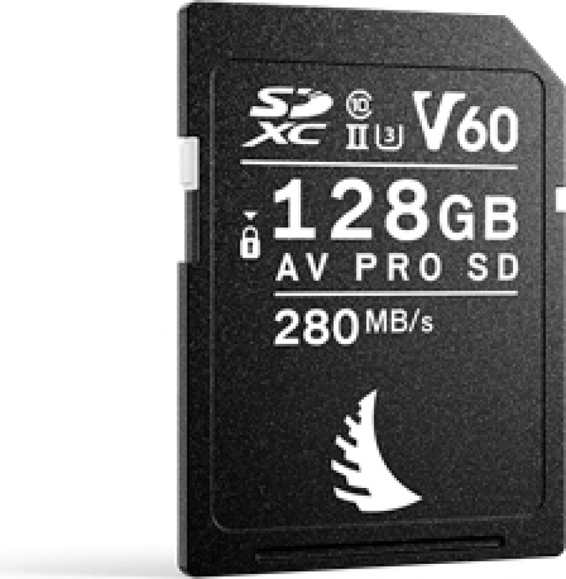 Sd-Kort Av Pro Uhs-Ii 128Gb V60