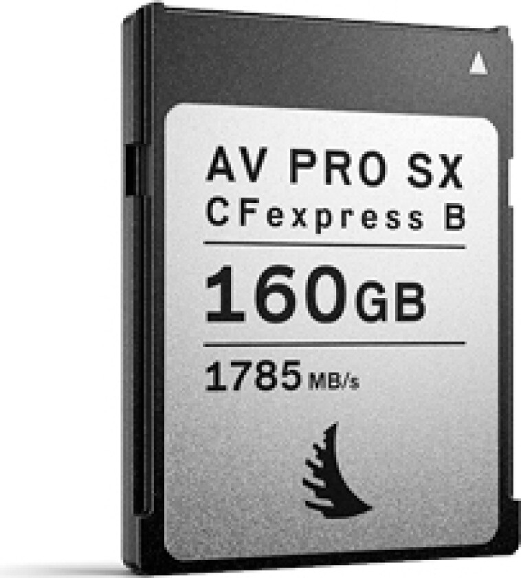 Technologies Av Pro Cfexpress B Sx, 160 Gb, Cfexpress, 1785 Mb/S, 1600 Mb/S, Sølv, Sort