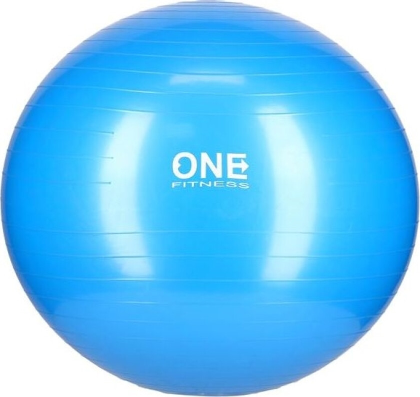 One Fitness Treningsball Gym Ball 10 65Cm Blå