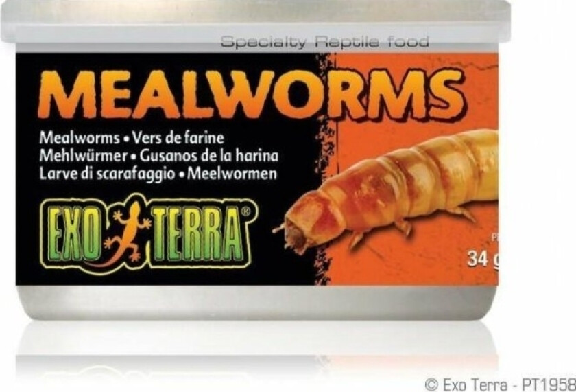 -Exo Terra Puszka Mealworms 34G.