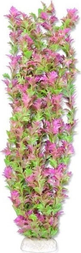 Bilde av Happet Happet Plantefolie 65Cm / 6F36