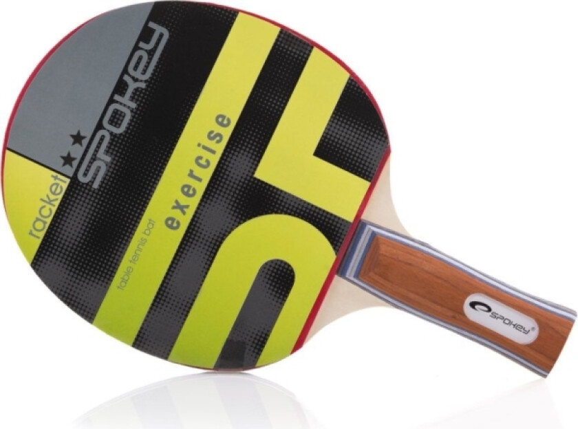 Exercise En Bordtennisracket