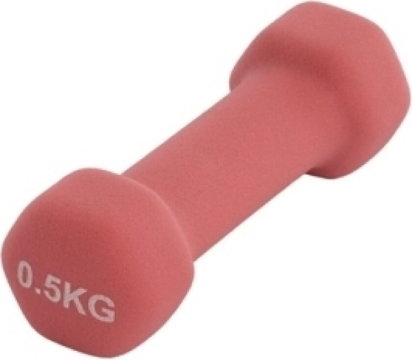 Vinyl Dumbbell Ls2001 0.5Kg