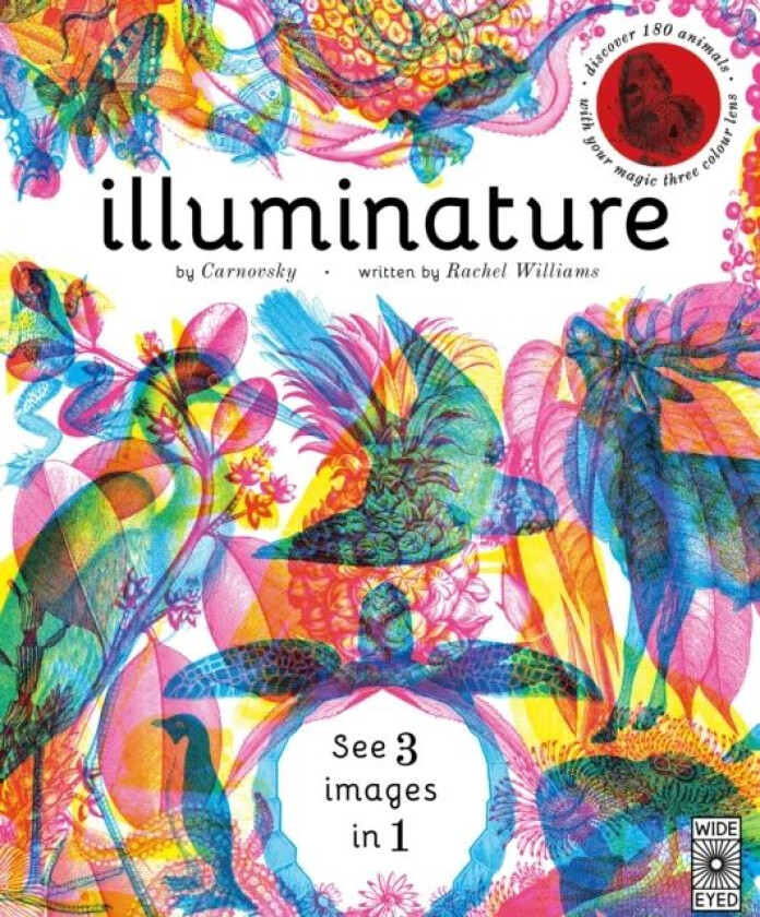 Illuminature av Rachel Williams