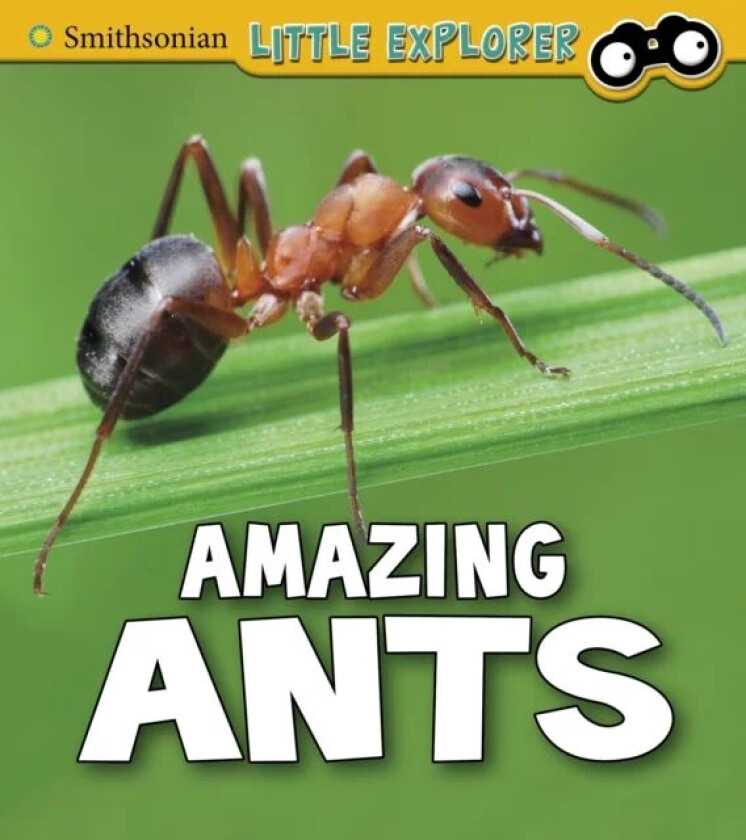 Amazing Ants av Megan Cooley Peterson