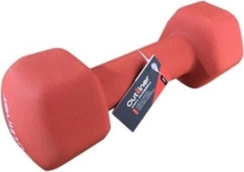 Vinyl Dumbbell Ls2001 2Kg
