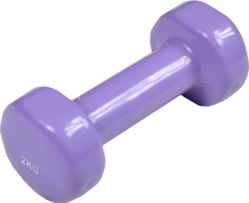 Eb Fit Dumbbell Vdb Vinyl 1 X 2 Kg