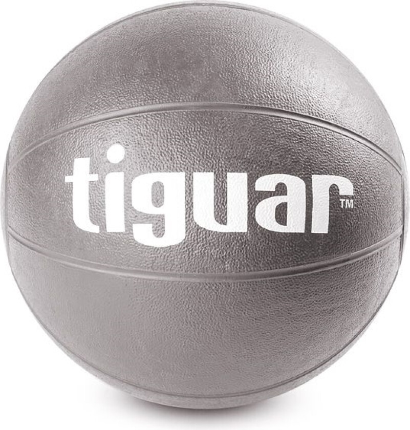 Medicine Ball Grå 4 Kg (Ti-Pl0004)