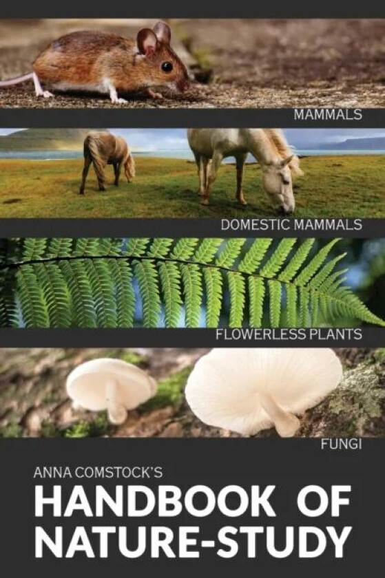 The Handbook Of Nature Study in Color - Mammals and Flowerless Plants av Anna Comstock