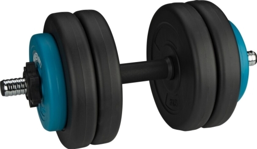 Schreuders Sport Dumbbell Bytte. Vekt 15 Kg Avento 42Df Syntetisk