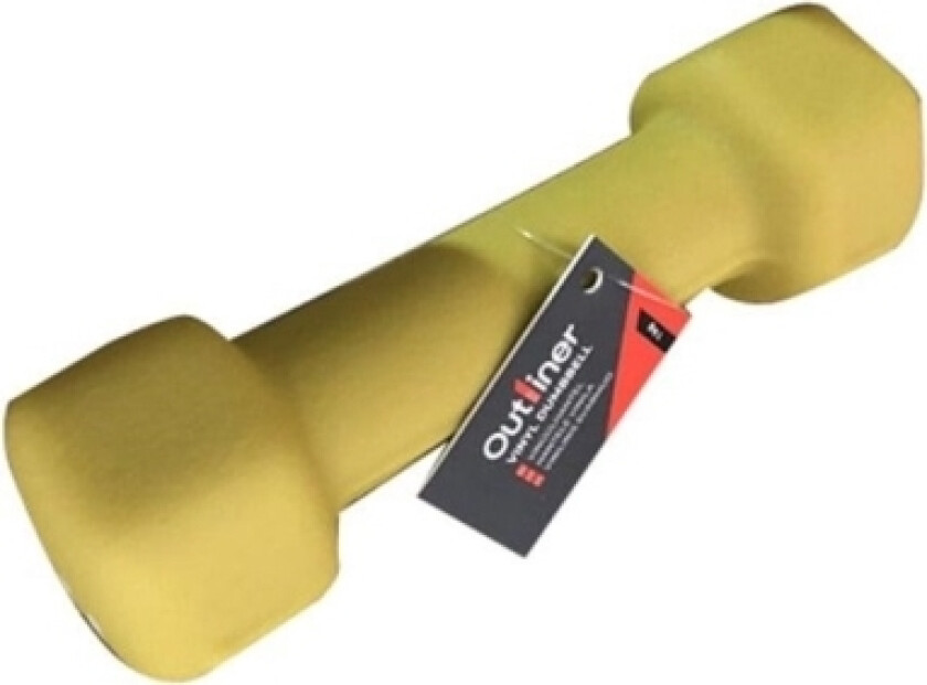 Vinyl Dumbbell Ls2001 1Kg