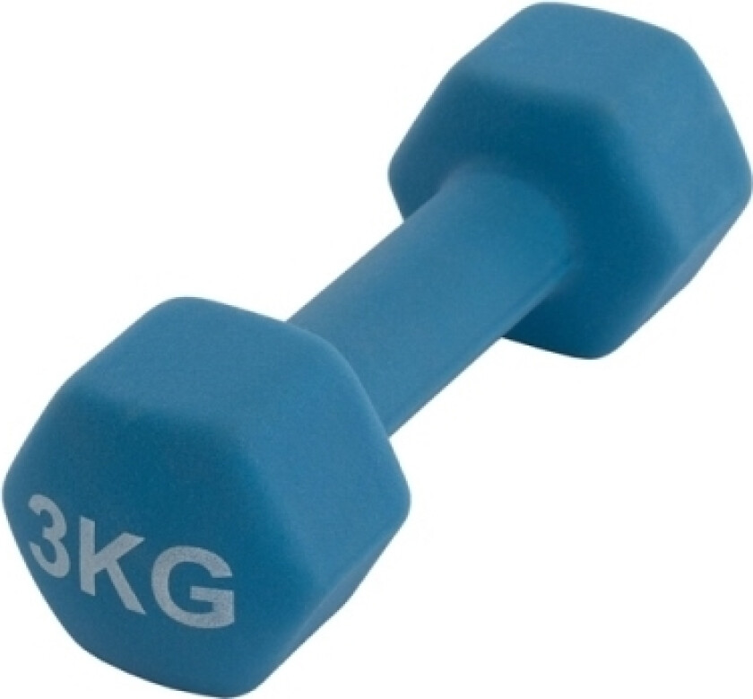 Vinyl Dumbbell Ls2001 3Kg