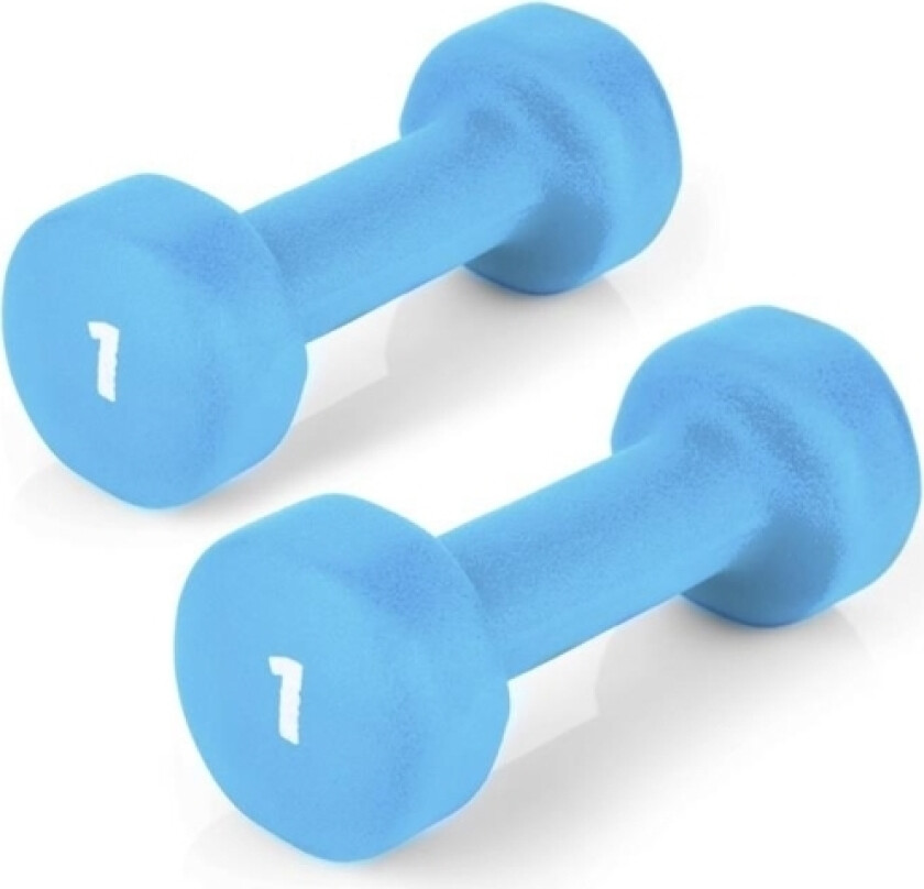 Set Of Vinyl Dumbbells Shape Iv 2X 1 Kg Blue (920894)