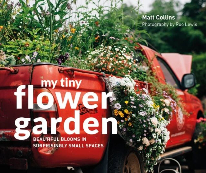 My Tiny Flower Garden av Matt Collins, Roo Lewis