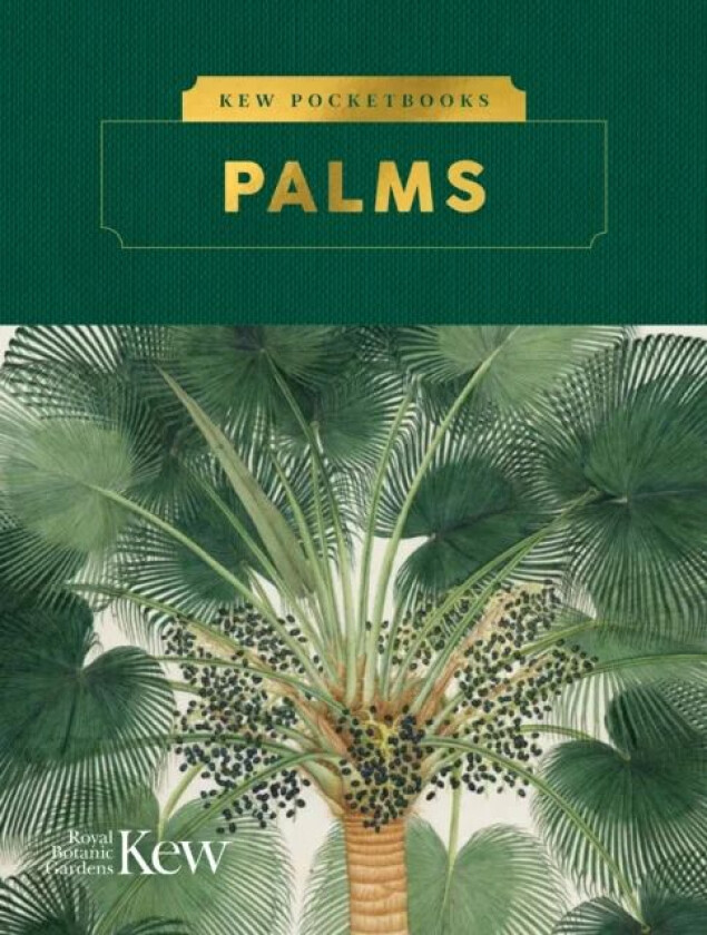 Kew Pocketbooks: Palms av Kew Royal Botanic Gardens