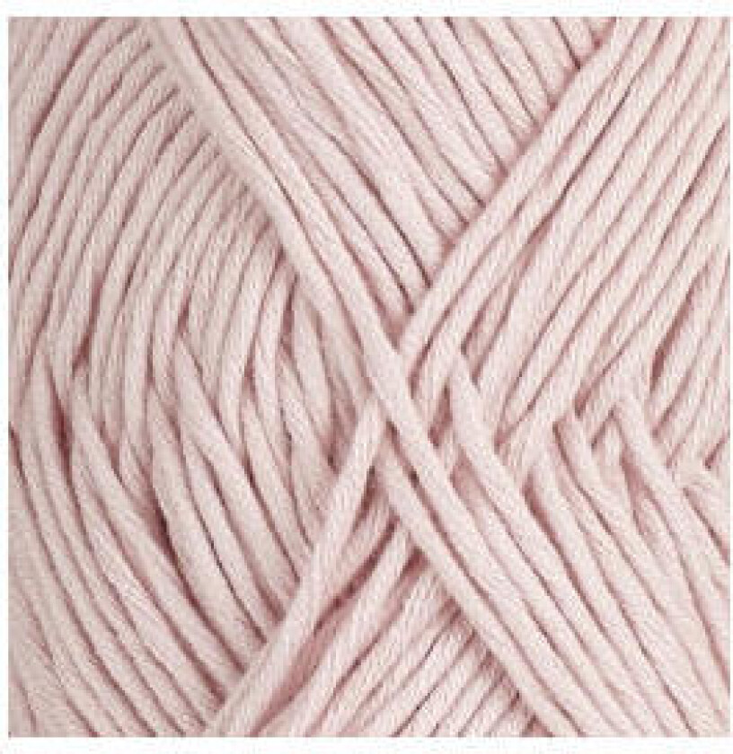 Petunia 200 Lys rosa