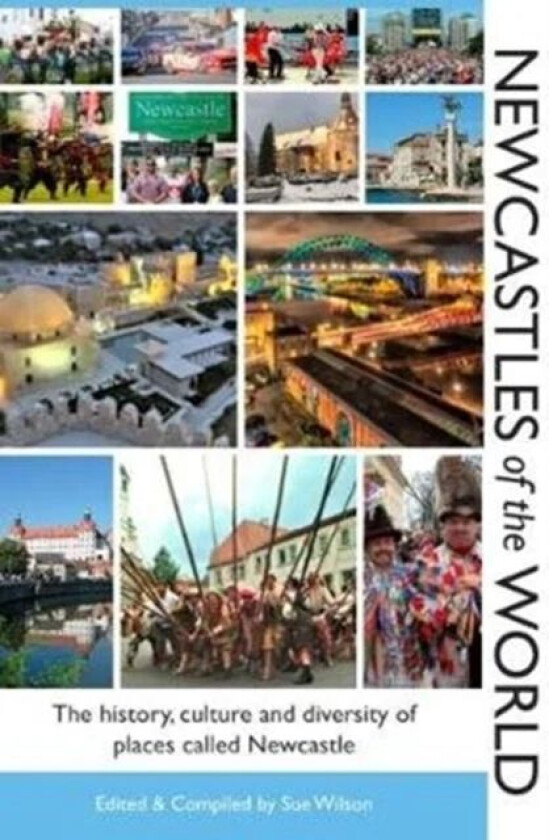 Newcastles of the World av Sue Wilson
