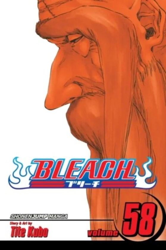 Bleach, Vol. 58 av Tite Kubo