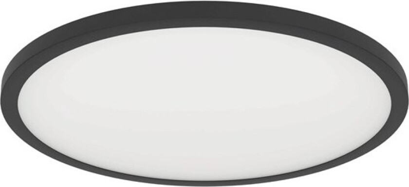 Sarsina-Z black