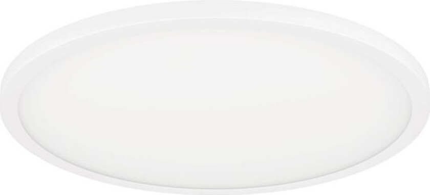 Sarsina-Z white