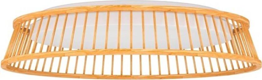 Luppineria brown white