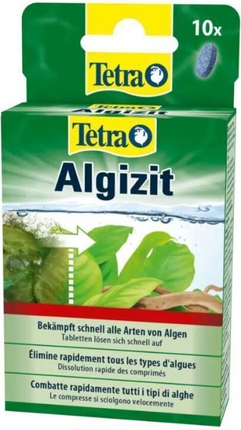 Algizit