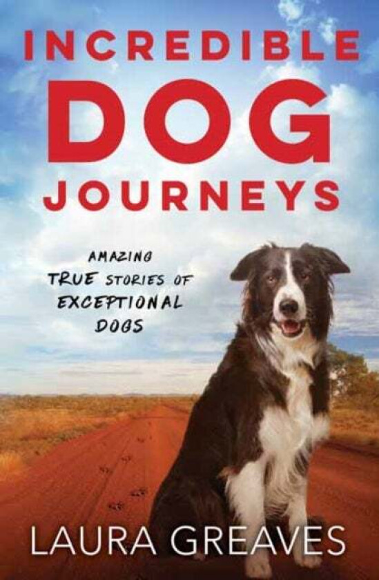 Incredible Dog Journeys av Laura Greaves