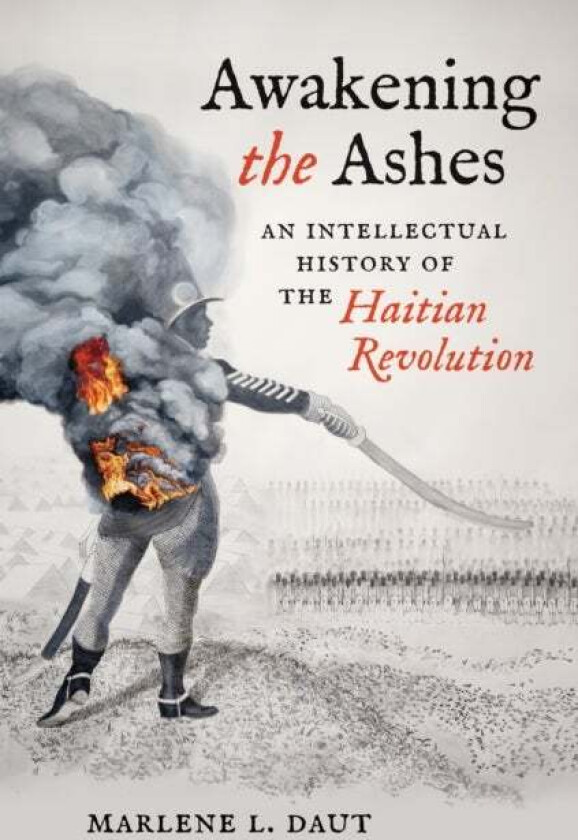 Awakening the Ashes av Marlene L. Daut