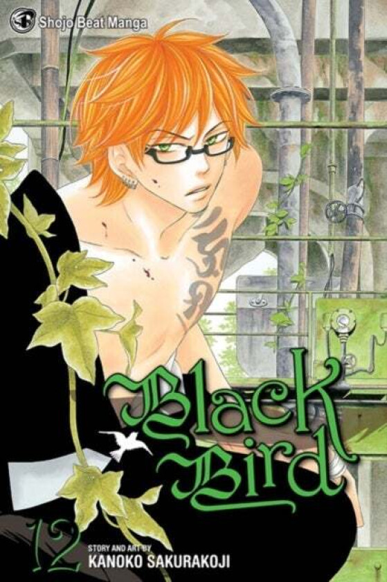 Black Bird, Vol. 12 av Kanoko Sakurakouji