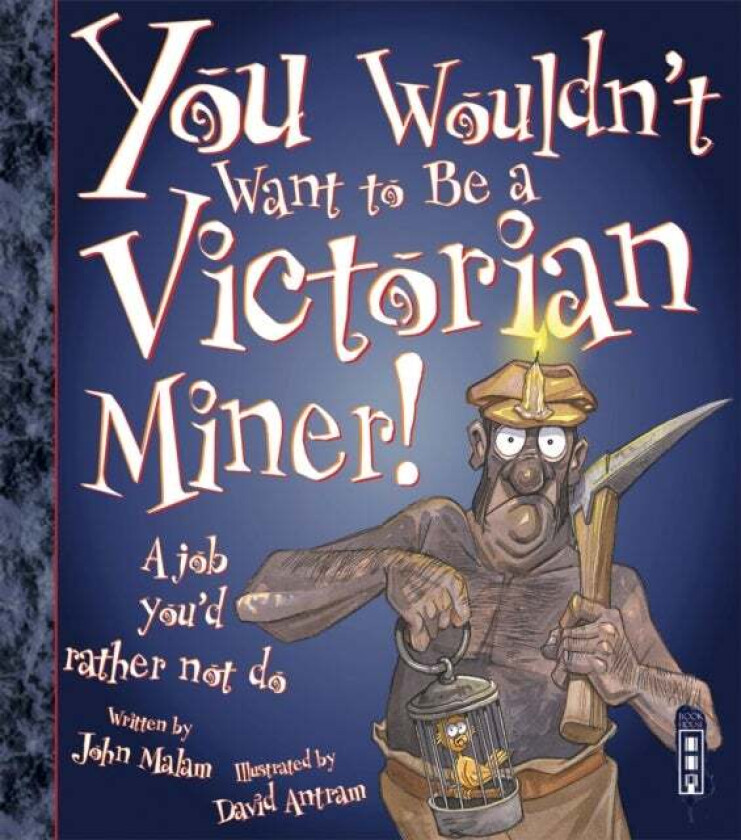 You Wouldn't Want To Be A Victorian Miner! av John Malam