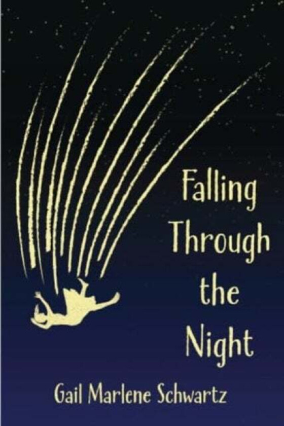 Falling Through the Night (National Indie Excellence Award Winner, 2024) av Gail Marlene Schwartz