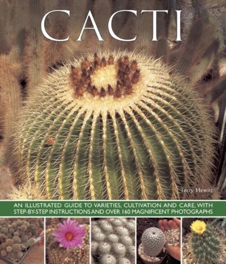 Cacti av Terry Hewitt