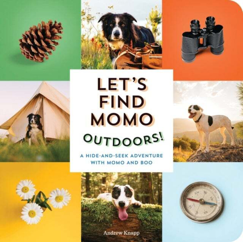 Let's Find Momo Outdoors! av Andrew Knapp