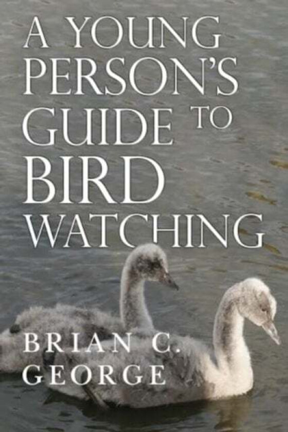 A Young Person's Guide to Bird Watching av Brian C. George