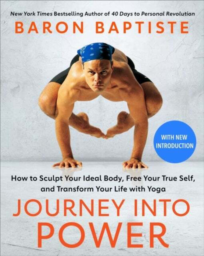 Journey into Power av Baron Baptiste