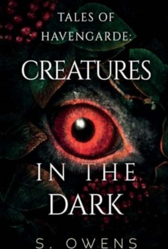 Tales of Havengarde: Creatures in the Dark av S. Owens