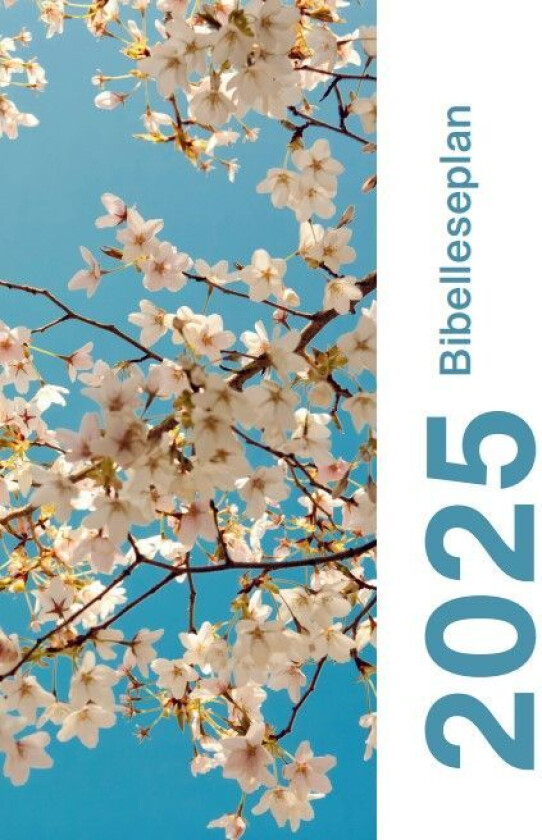 Bibelleseplan 2025 av Silje Kivle Andreassen