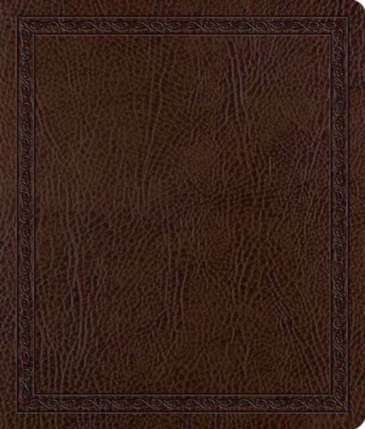 ESV Journaling Bible