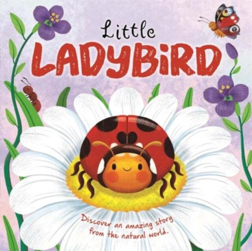 Little Ladybird av Autumn Publishing
