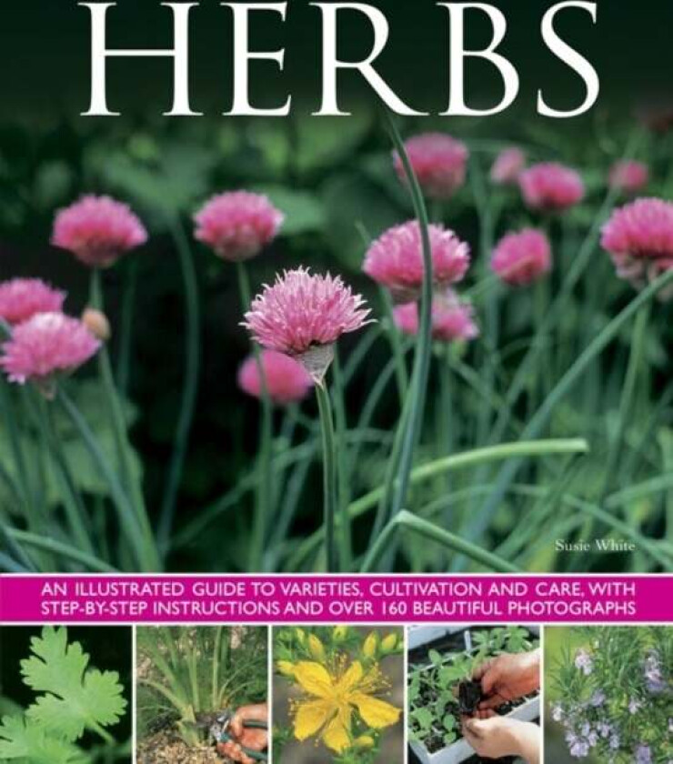 Herbs av Susie White