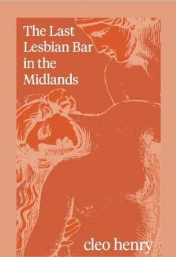 The Last Lesbian Bar in the Midlands av Cleo Henry