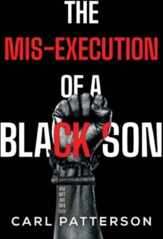 The Mis-Execution of a Black Son av Carl Patterson