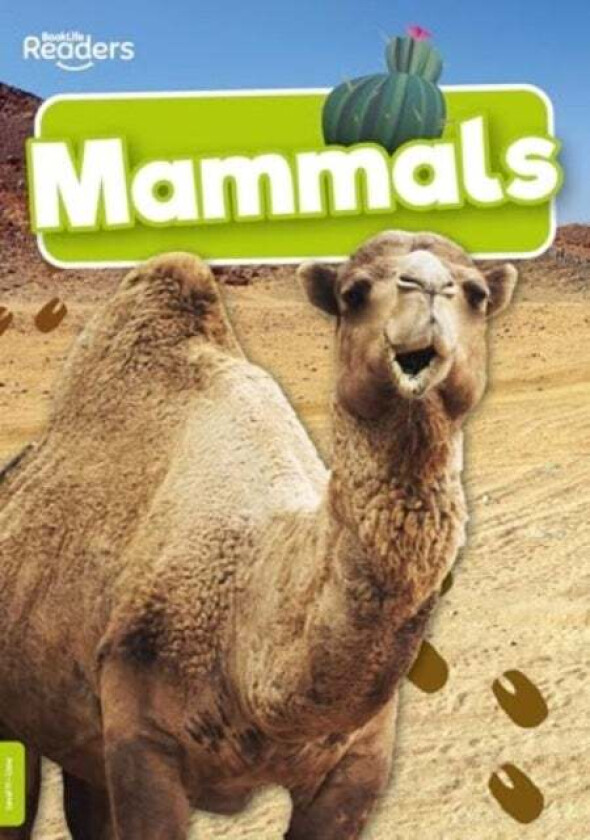 Mammals av Charlie Ogden