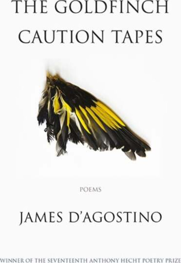 The Goldfinch Caution Tapes av James D'Agostino