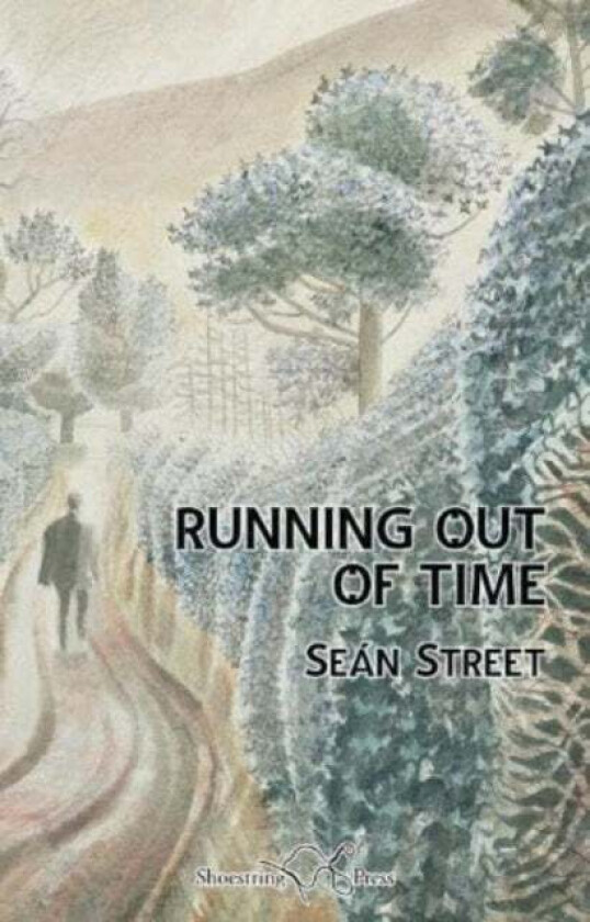 Running Out of Time av Sean Street