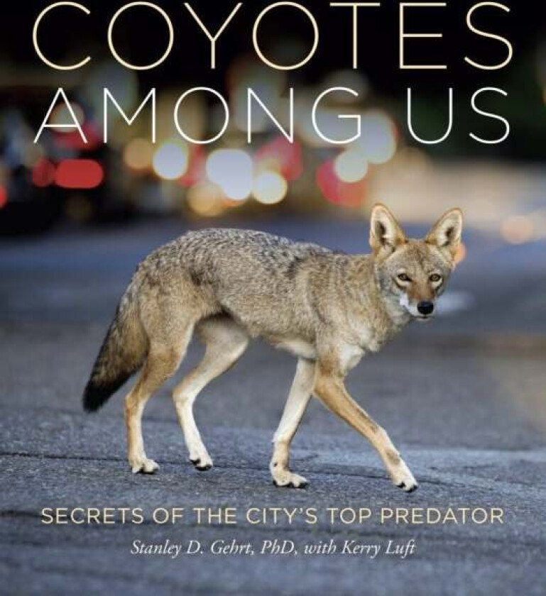 Living With Coyotes av Stanley D. Gehrt