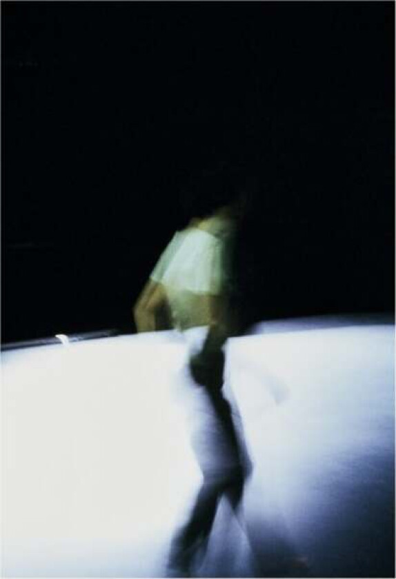 Shelley Lasica: WHEN I AM NOT THERE