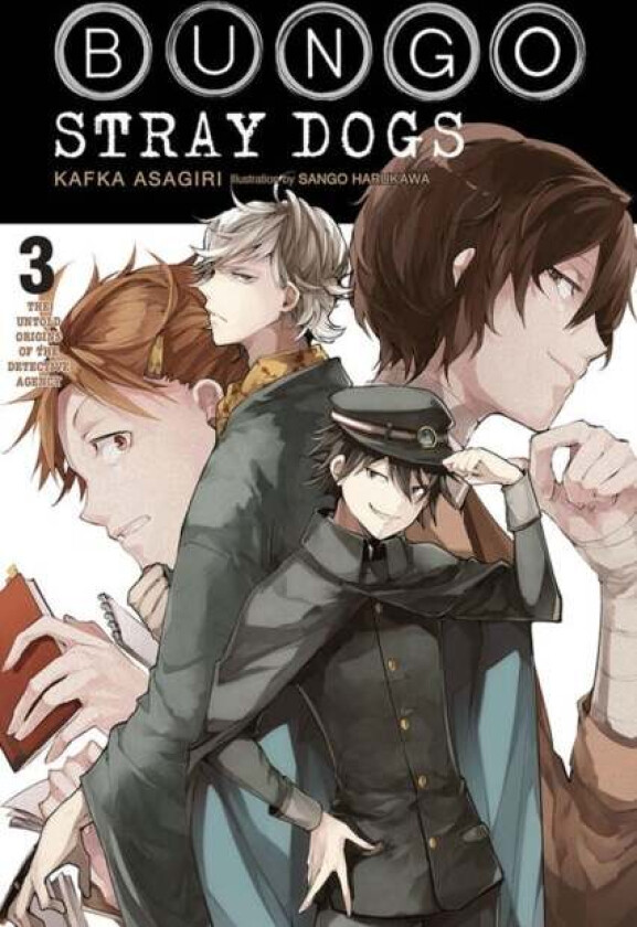 Bungo Stray Dogs, Vol. 3 (light novel) av Kafka Asagiri