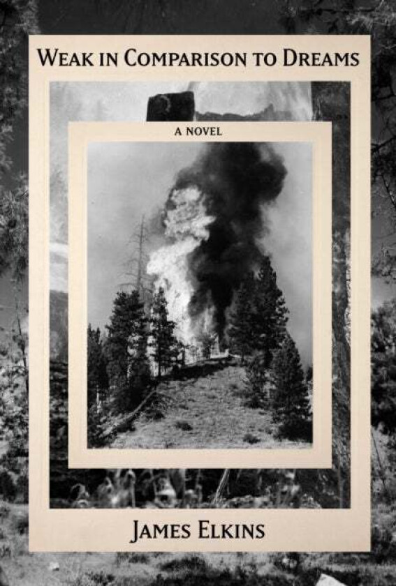 Weak in Comparison to Dreams av James Elkins