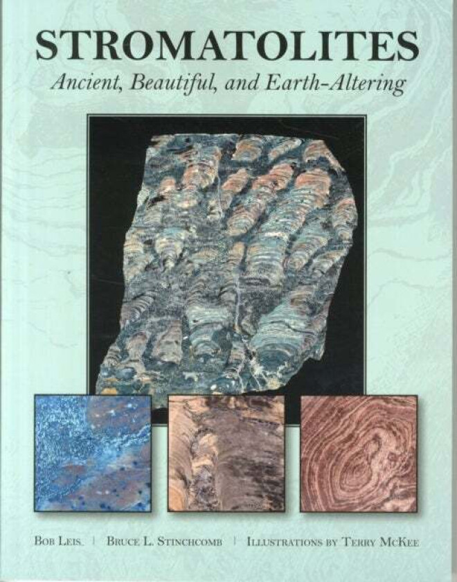 Stromatolites av Bob Leis, Bruce L. Stinchcomb